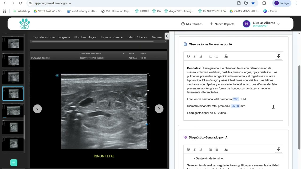 diagnoVET Ecografía Gestacional