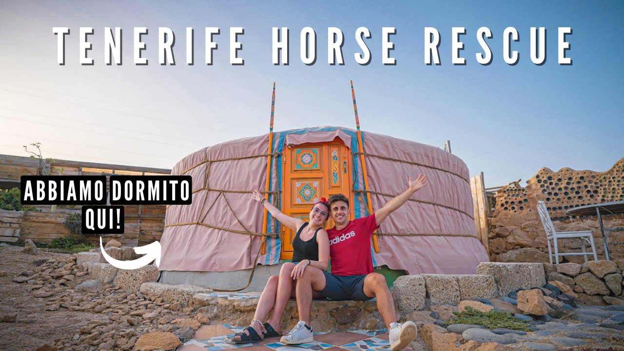 Cosa fare a 🇪🇸 TENERIFE 🇪🇸 | Notte in TENDA MONGOLA al @Tenerifeanimalsanctuary