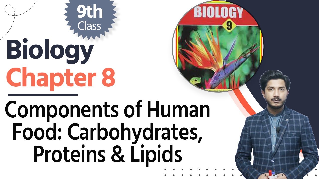 Biology Class 9 Chapter 8 - Components of Human Food; Carbohydrates, Proteins & Lipids