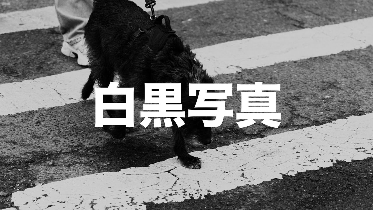 【写真話】なぜ白黒写真は心に響くのか？