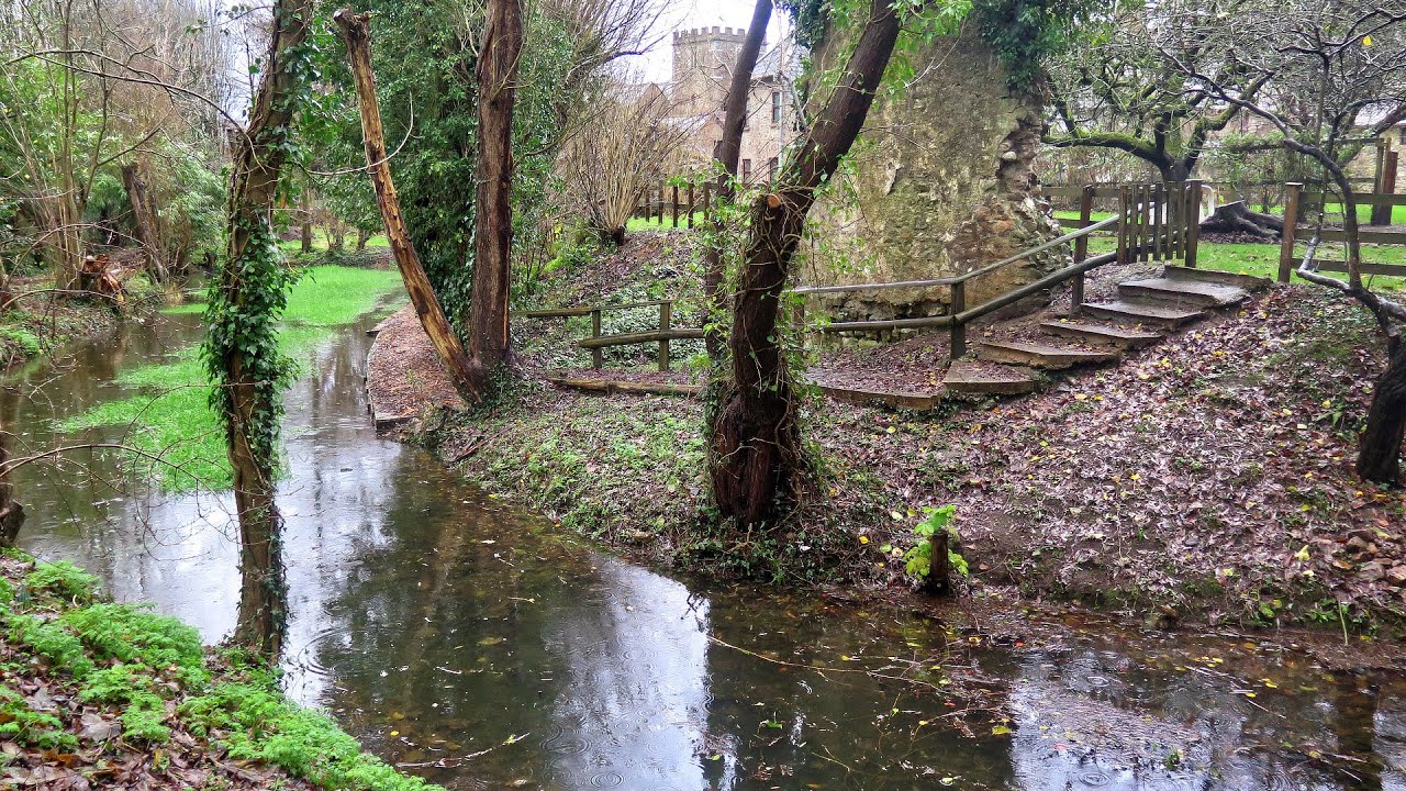 St Margaret's Brook Hemyock - Photo Slideshow - Connecting the Culm Project