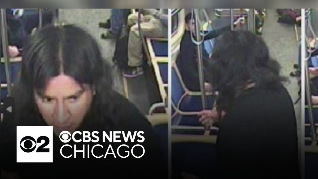 Search on for attacker on Pink Line 'L' train in Chicago