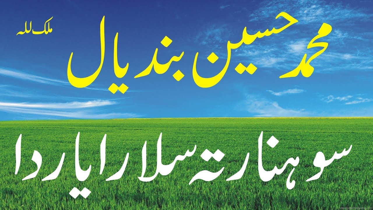 Sohna Rata Salara Yaar Da 3 | Muhammad Hussain Bandial | Best Punjabi Saraiki Original Audio Song