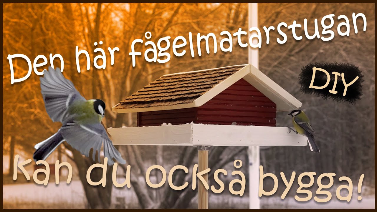 Den här fågelmatarstugan kan du också bygga
