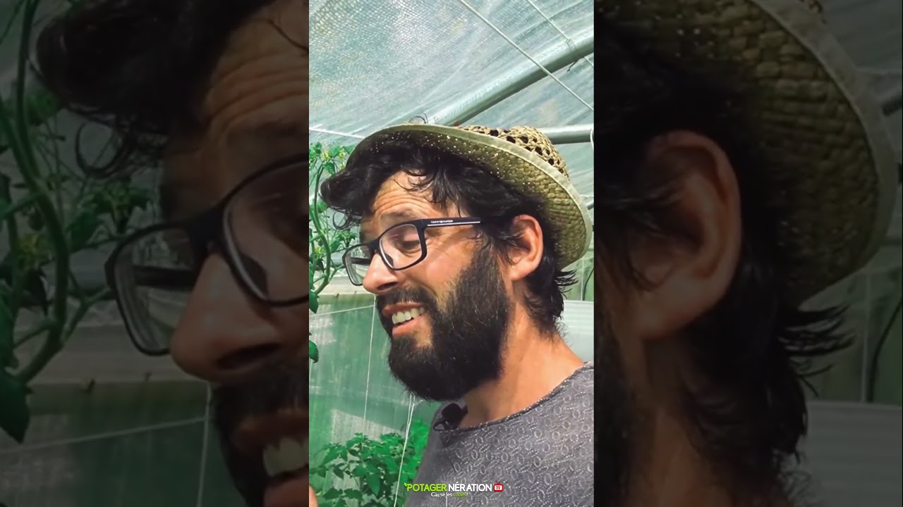 ⚠️ Mildiou sous serre ? Voici MA solution naturelle 🌿💧