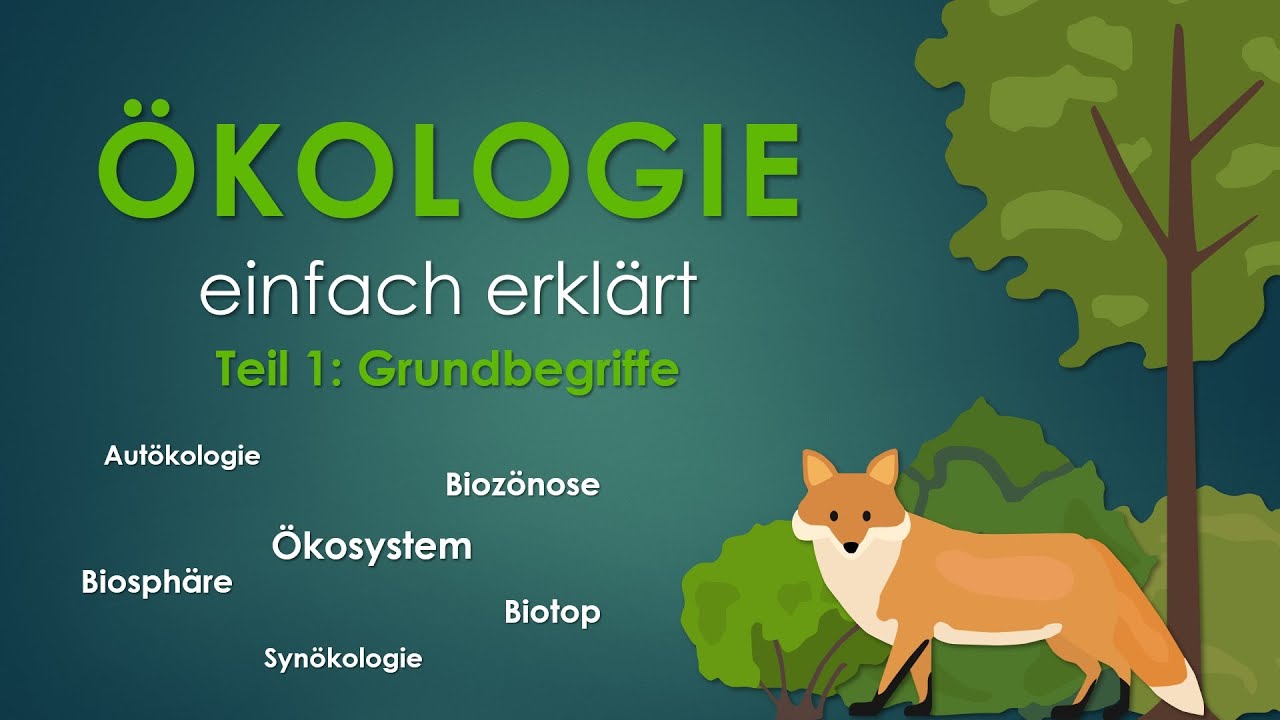 1. Grundbegriffe | ÖKOLOGIE einfach erklärt