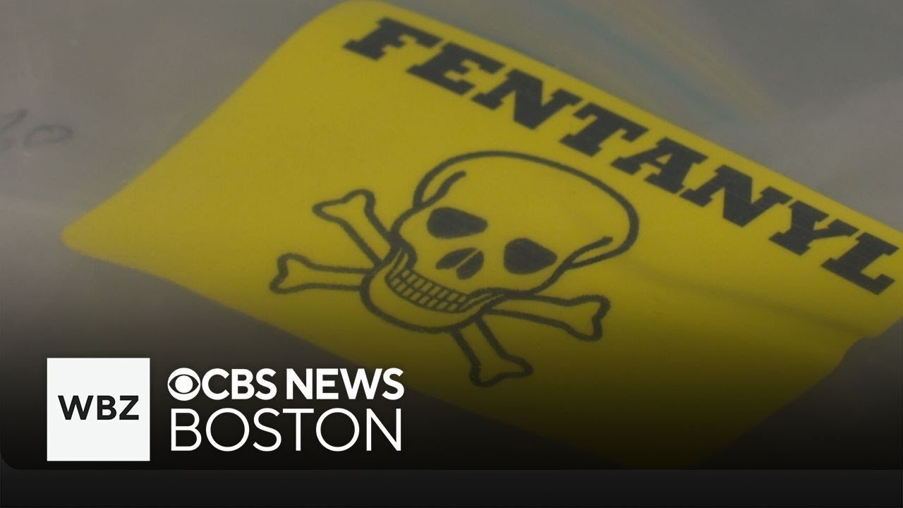 Full Video: Dozens arrested in massive drug cartel bust in New England
