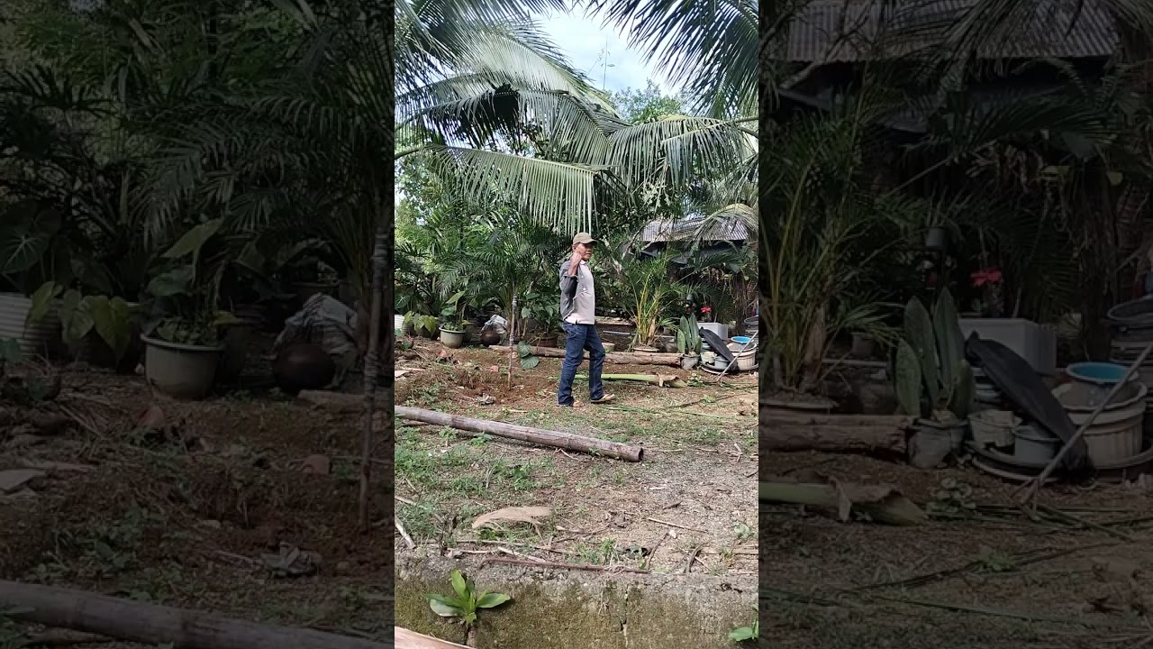 Tolong tayo gawa ng kobu sa ditomabo
