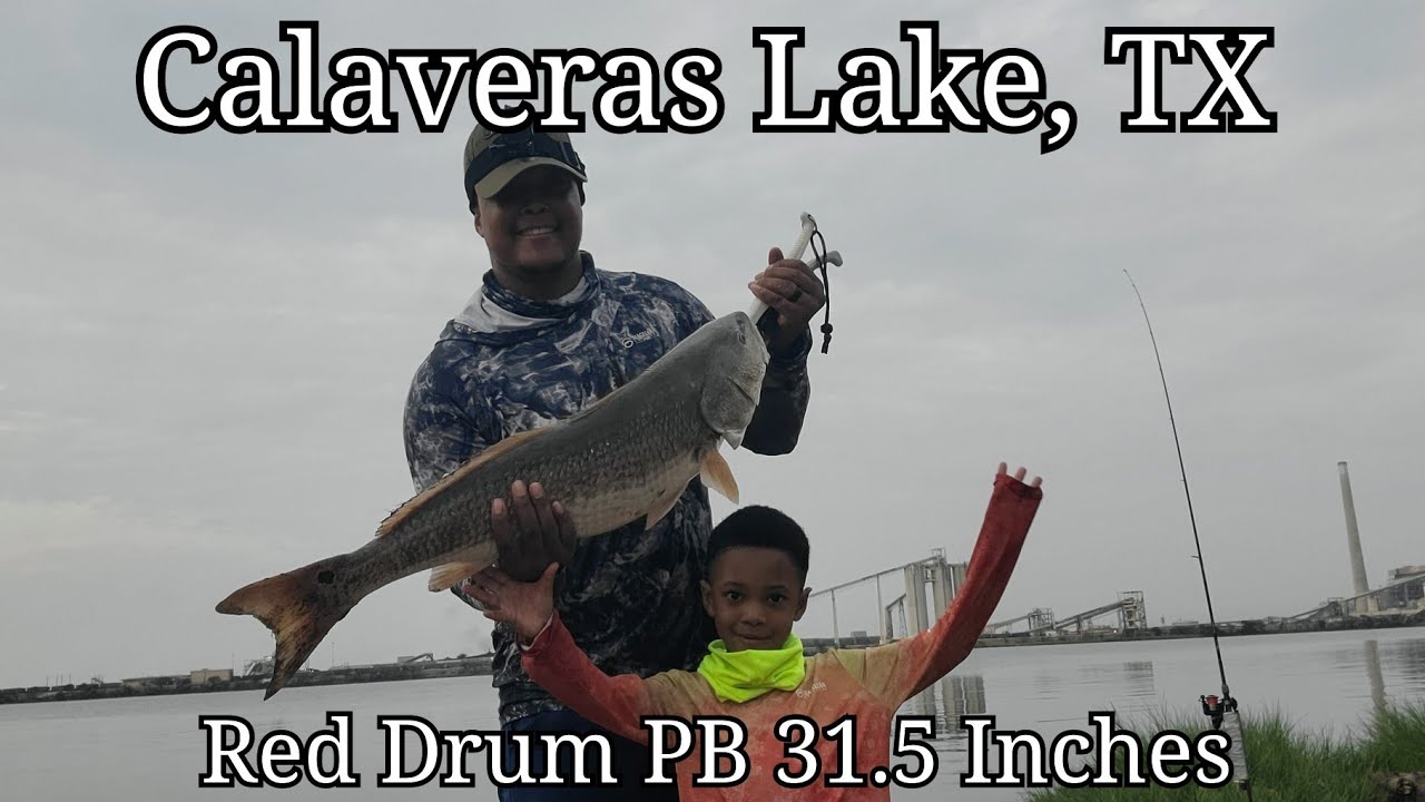 Calaveras Lake, TX - New PB 31 1/2 inch Red Drum with Son