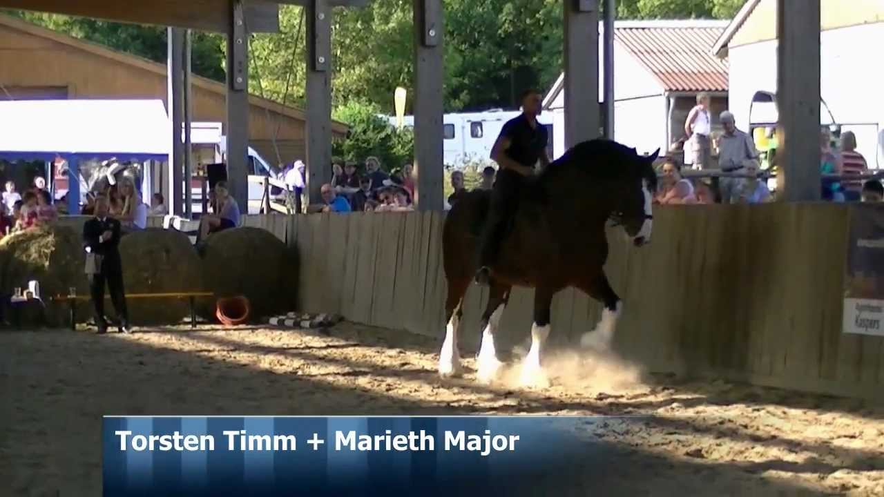 Shire Horse LZS Rheinland-Pfalz 2012 - Torsten Timm + Marieth Major