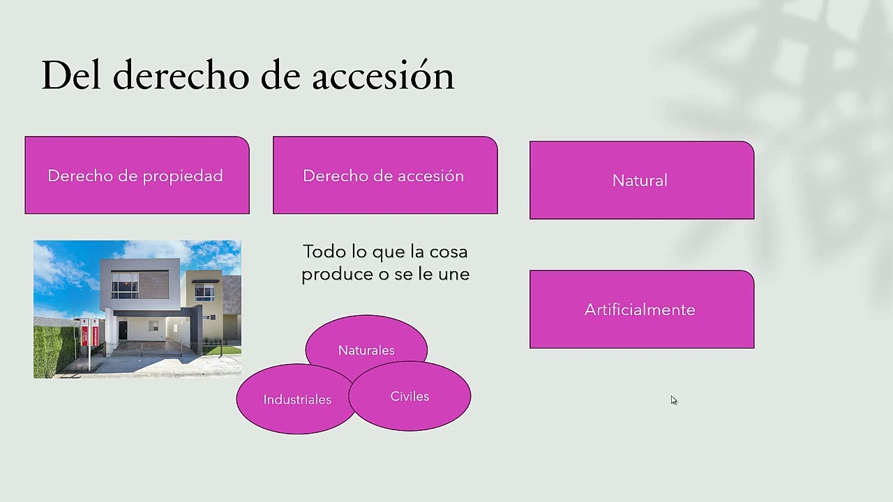 Derecho de accesi&oacute;n. &iquest;Qu&eacute; es y qu&eacute; comprende?