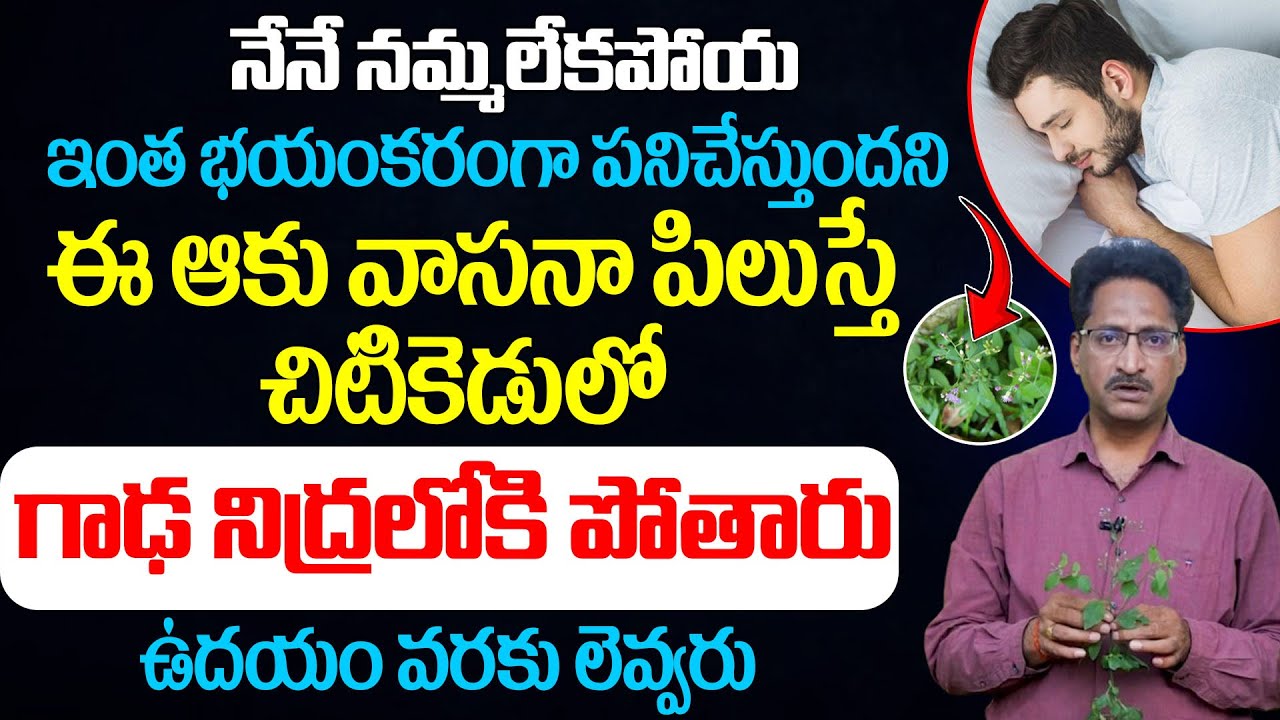 రాత్రి కుంభకర్ణుడి లాంటి మత్తు నిద్ర | deep sleep | | sahadevi chettu upayogalu |