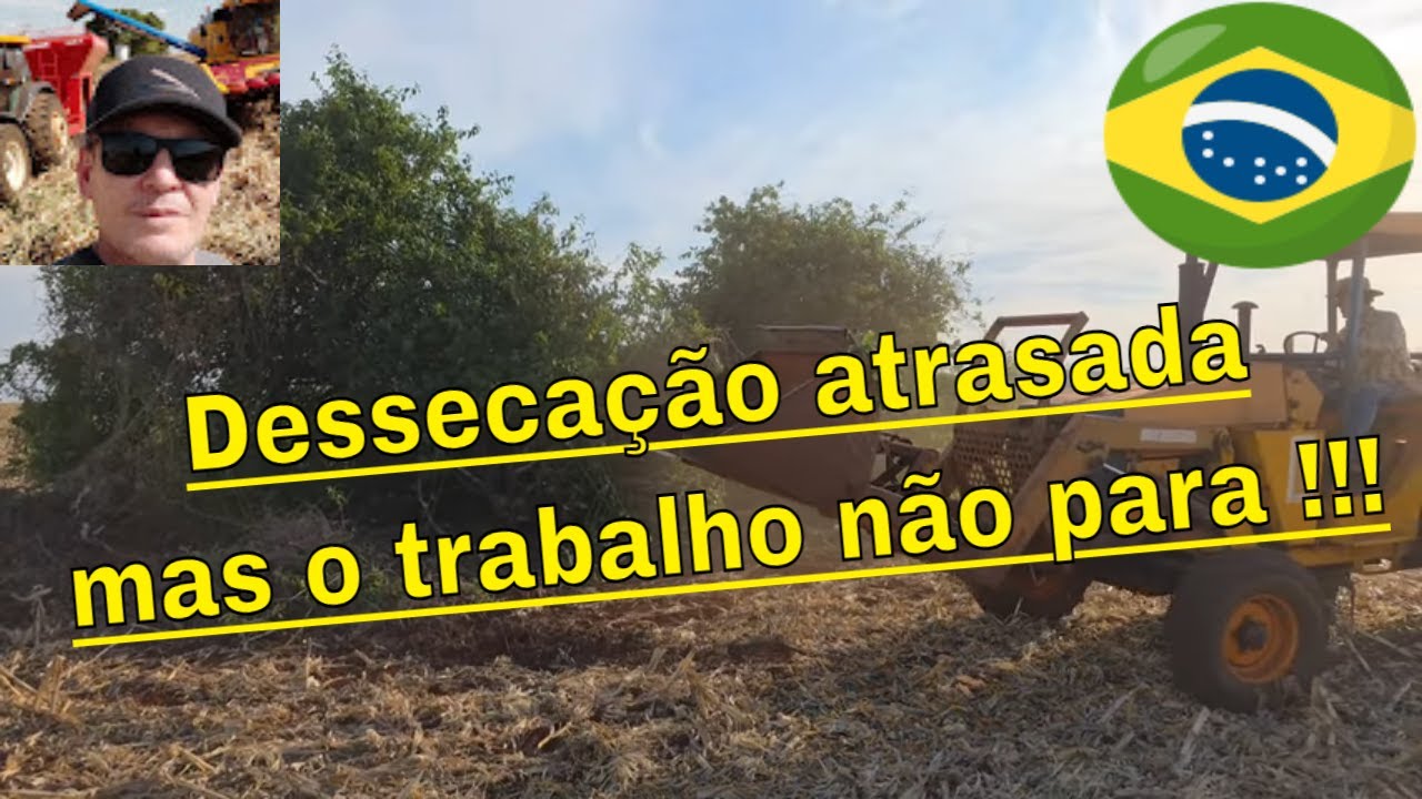 Semana com calor e nada de chuva, mas com muito trabalho ainda pra fazer antes do plantio de soja
