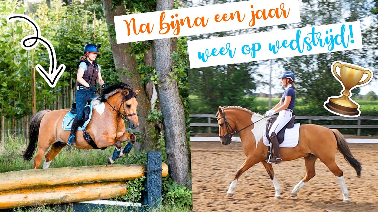 Oefencross & dressuurwedstrijd, maar vooral anders dan normaal! | felinehoi VLOG #397