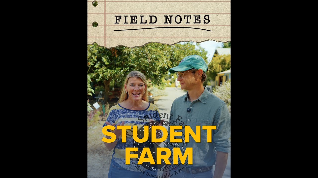 Field Notes with Dean Stokes - Student Farm