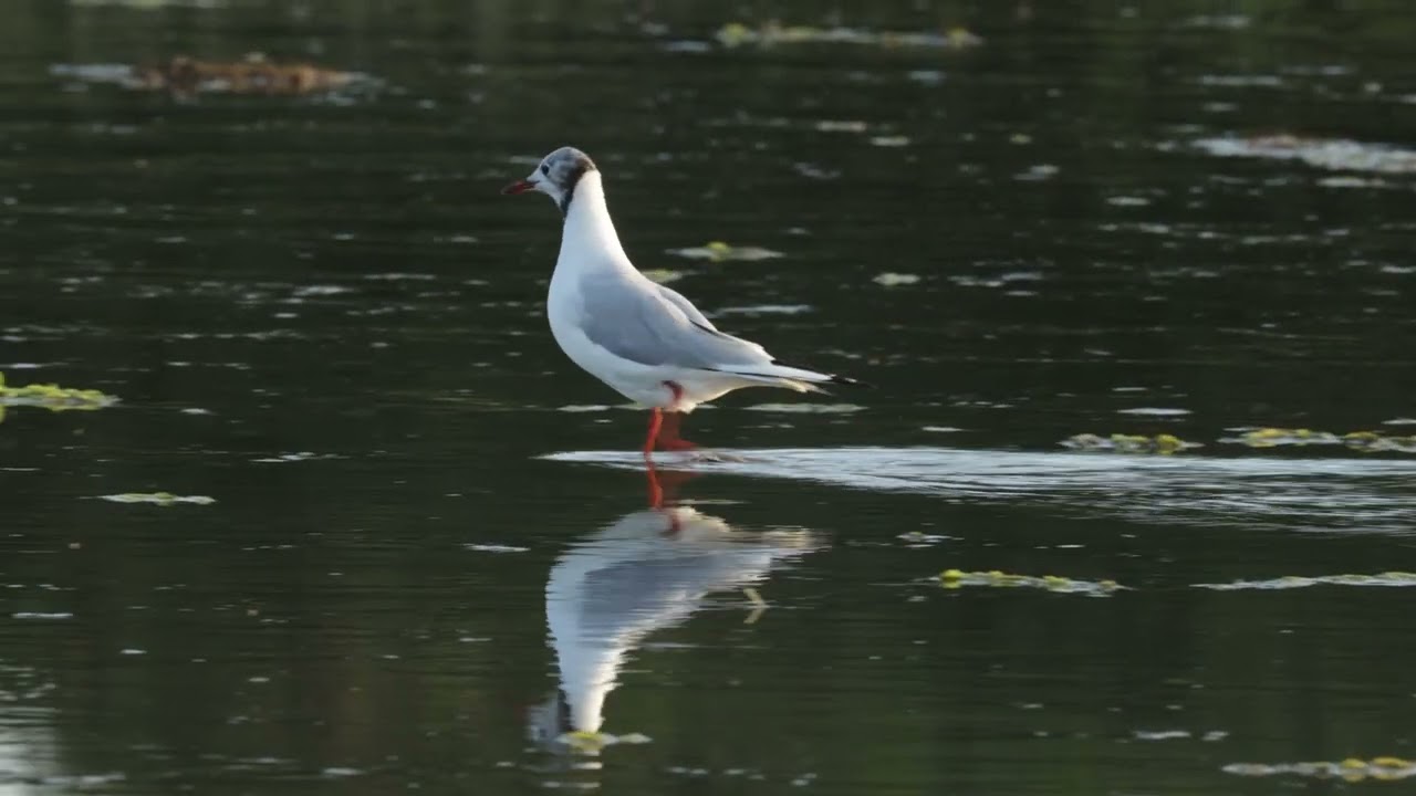 Fotoskjul Vrøj 2024