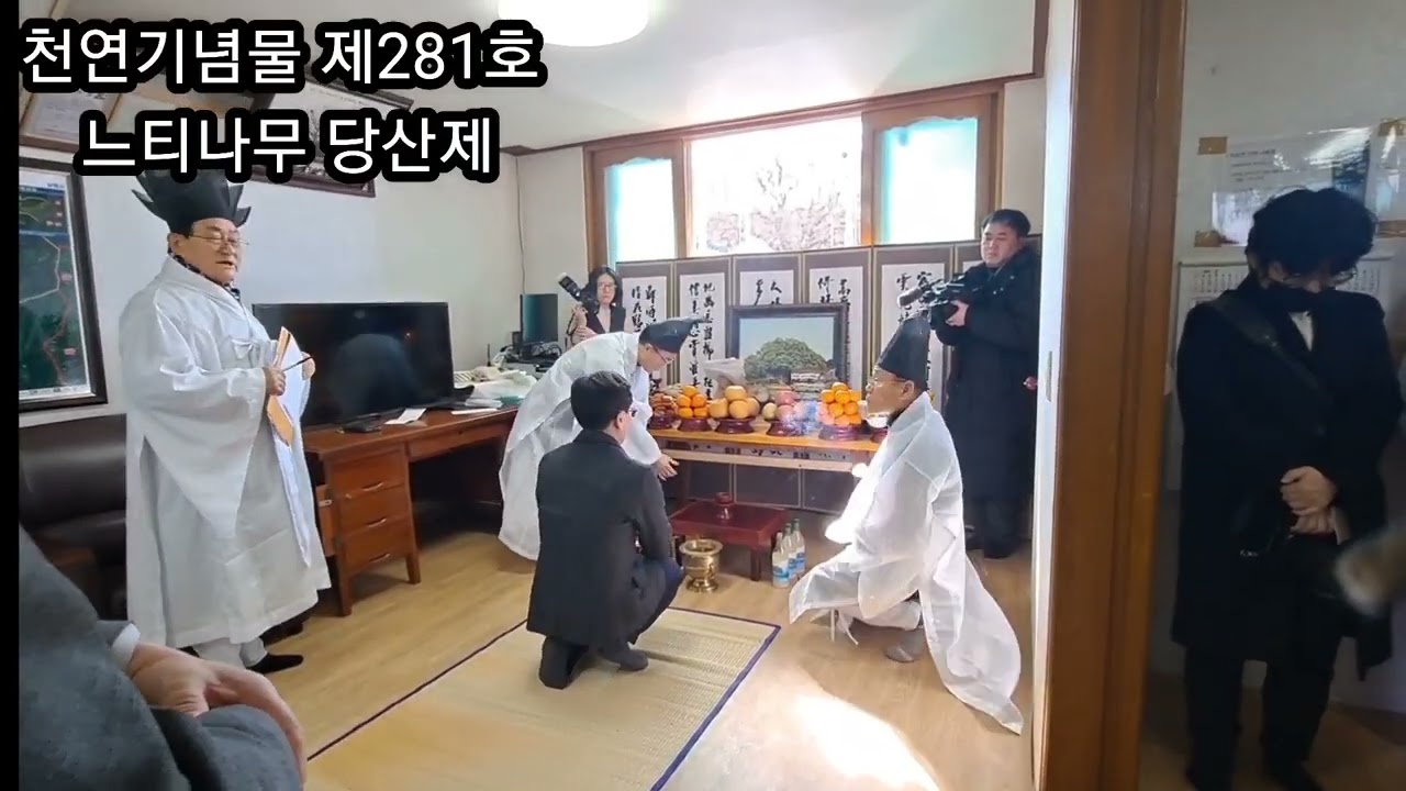 천연기념물 제281호 느티나무 당산제 