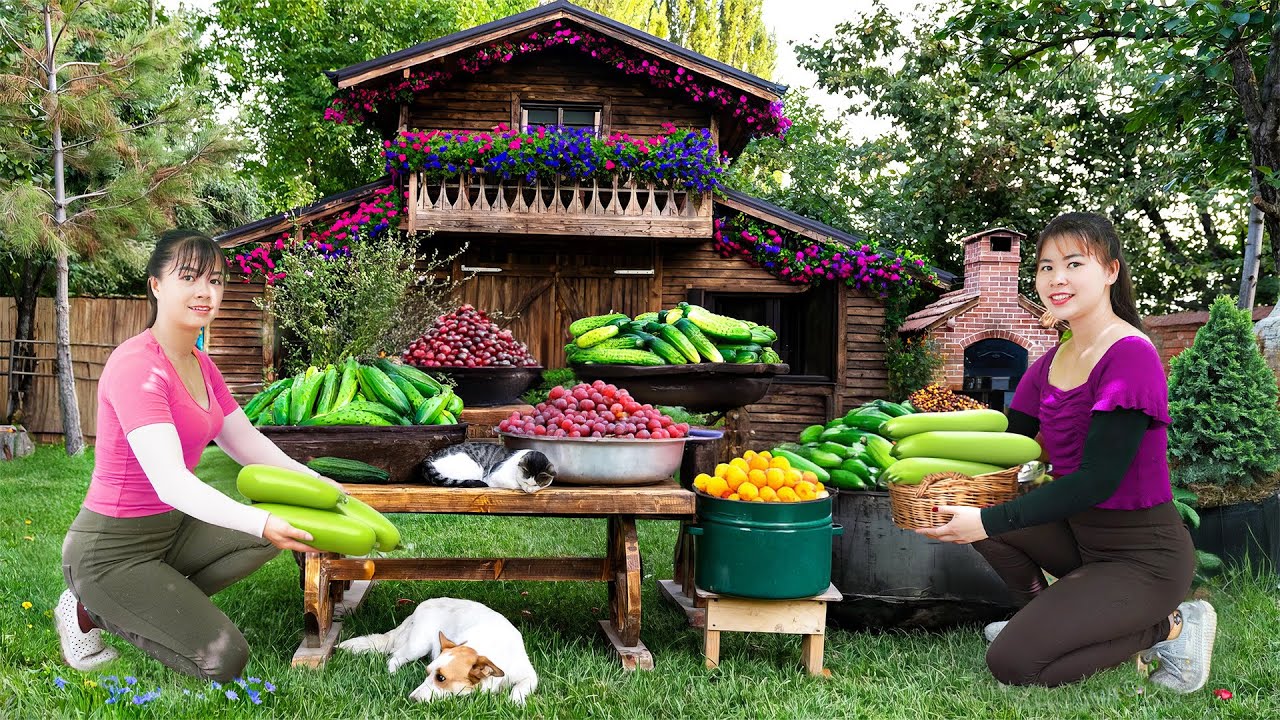 Harvesting Gourd Garden Goes To The Countryside Market Sell - Animals Care | Phuong Daily Harvesting