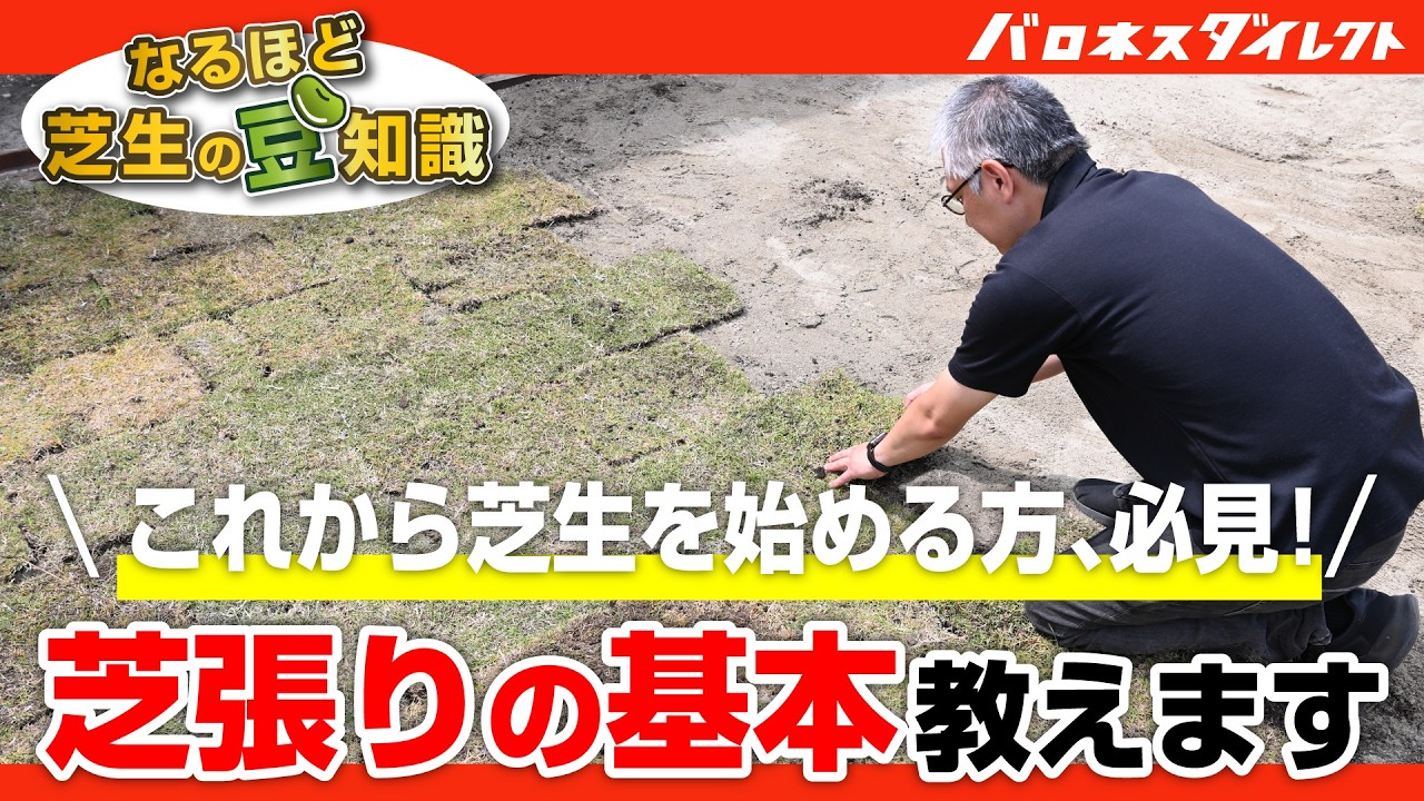 これだけは知っておきたい！芝生の張りかたのポイント～歴代店長が語る芝生の豆知識～