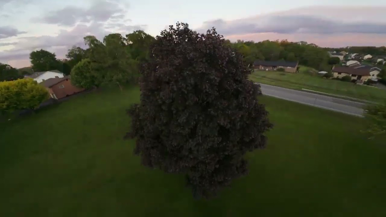 Avata 2 | Freestyle | May 25, 2026 #fpv #avata2