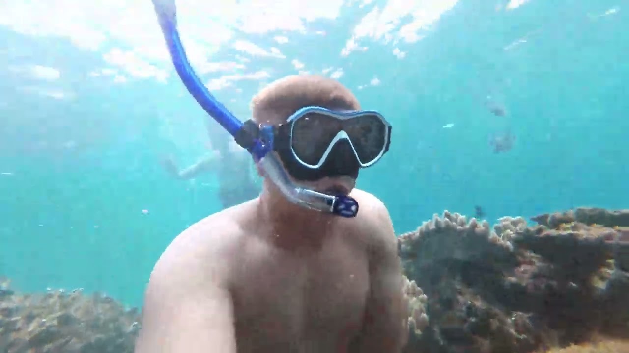 Gorilla Chop Okinawa Snorkeling