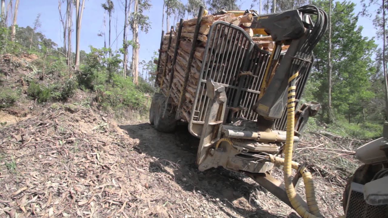 COSTA forestry 4WD trailers and cranes / Reboques e gruas florestais COSTA