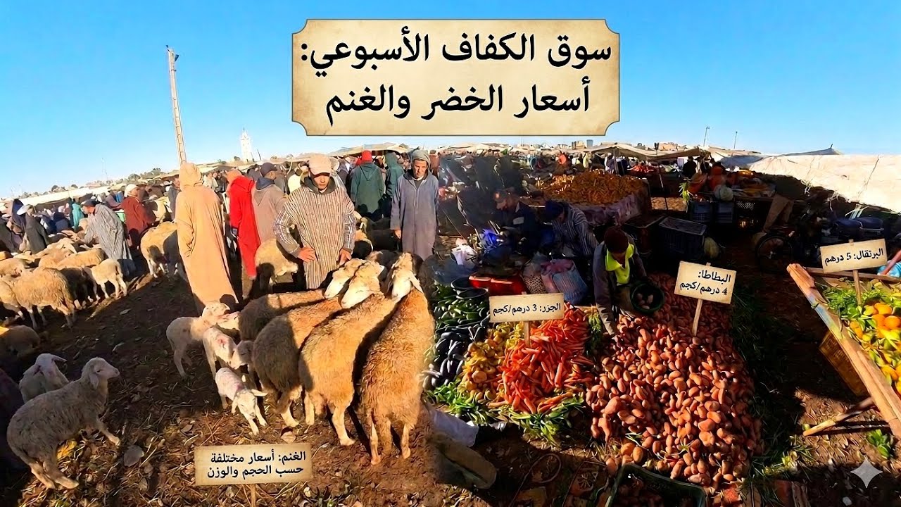 سوق الكفاف اليوم: واش كاين شي تغيير في أثمنة الغنم 🐏 والخضرة؟ 🥔🍅🥕(El Kaffaf Market Today)