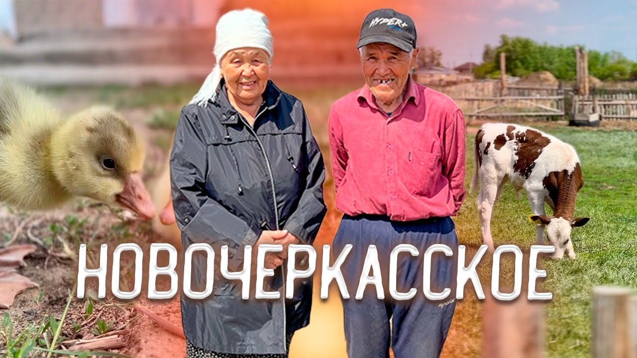 Новочеркасское. Перезагрузка для головы #казахстан #жизнь