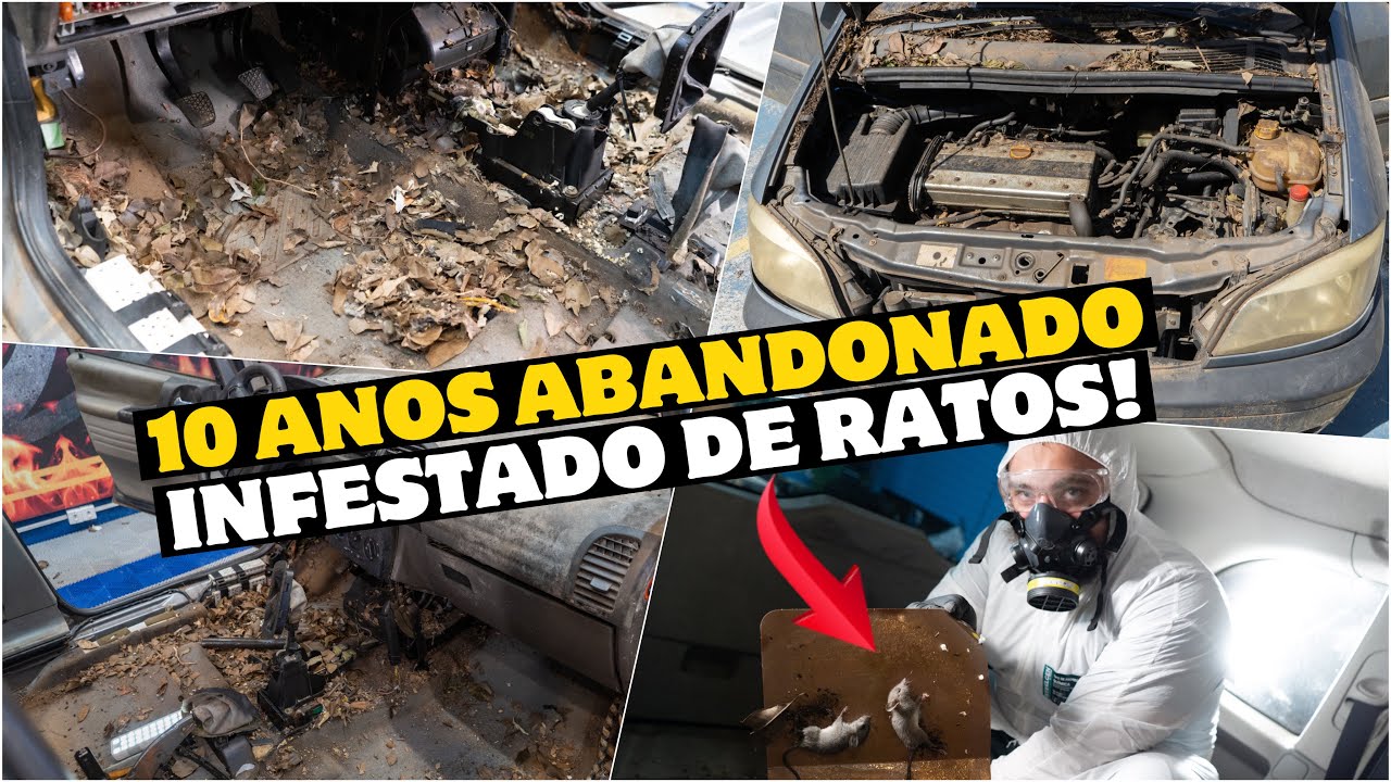 LAVAGEM E DESINFECÇÃO COMPLETA EM CARRO ABANDONADO E CHEIO DE RATOS!