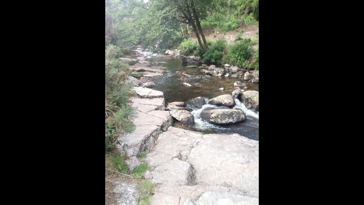 Fly fishing the Avon Dam