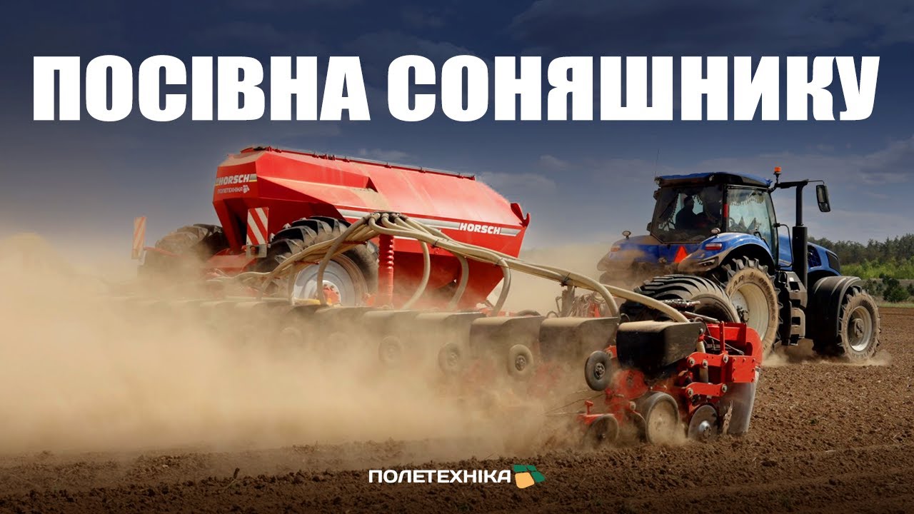 Соняшник. Посів та технологія вирощування
