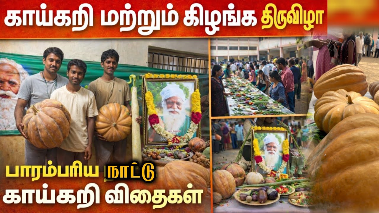 இவ்வளவு ரக காய்கறிகள் இருக்குதா | மாடித்தோட்டத்தில் வளர்க்கக்கூடிய பாரம்பரிய காய்கறி ரகங்கள் 