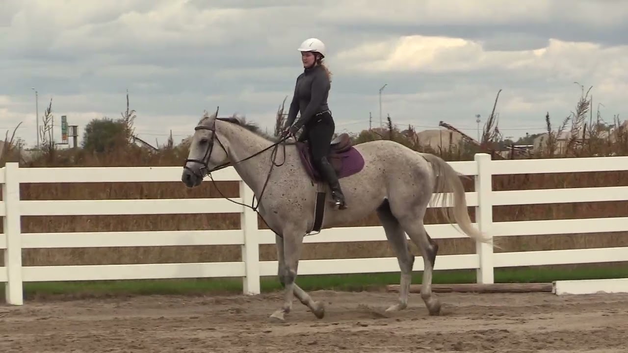 Mouse Lessons 11-1-2025 Part I