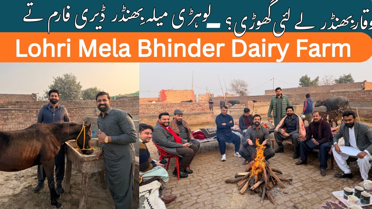 Lohri Mela Bhinder Dary Farm | Waqar Lyi Nukri Ghori | Nasir Dhillon 