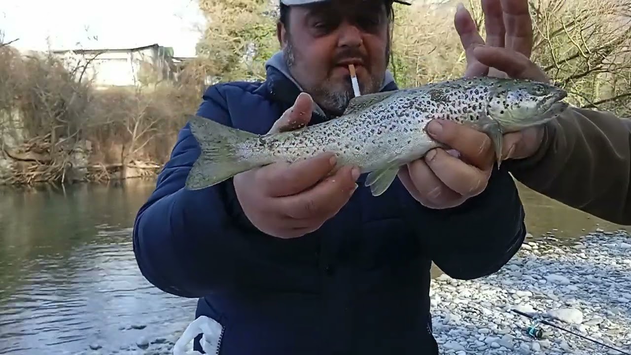 τρομερο ψαρεμα πεστροφας.fishing wild trout