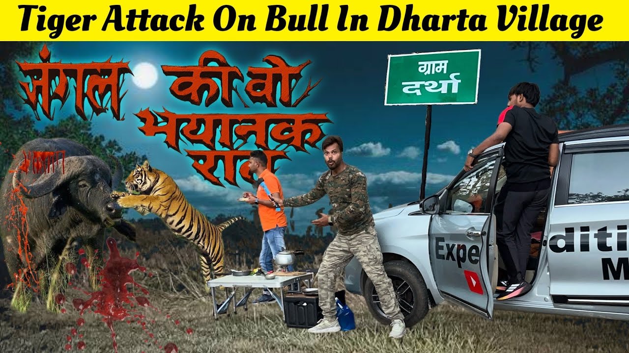 Tiger ने गांव में घुसकर सांड पर किया हमला | Tiger Attack on Bull in Dharta Village | Rain Camping
