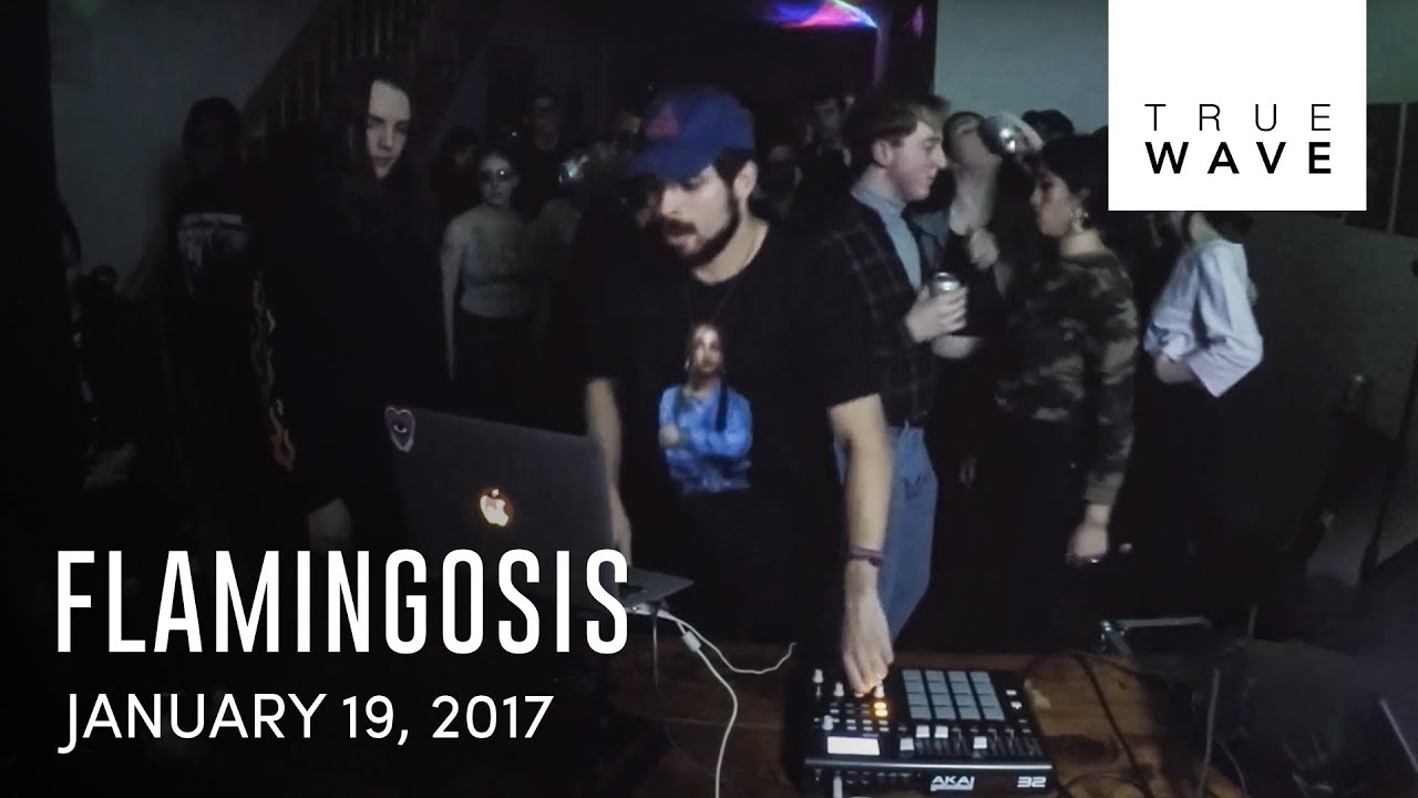 Flamingosis live set | 1.19.17 | Truewave TV