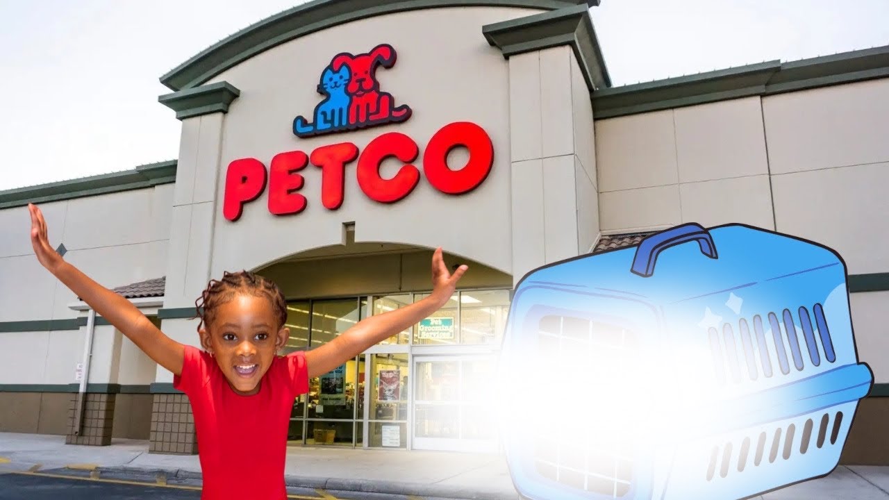Getting My Toddler a Pet 🐹❤️ (It didn’t go as planned)
