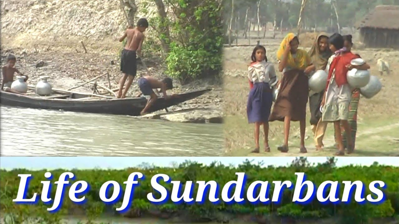 सुंदरवन के आदीवासी जनजिवन | TRIBAL LIFE OF SUNDARBANS | Documentery life of Sundarban | West Bangel