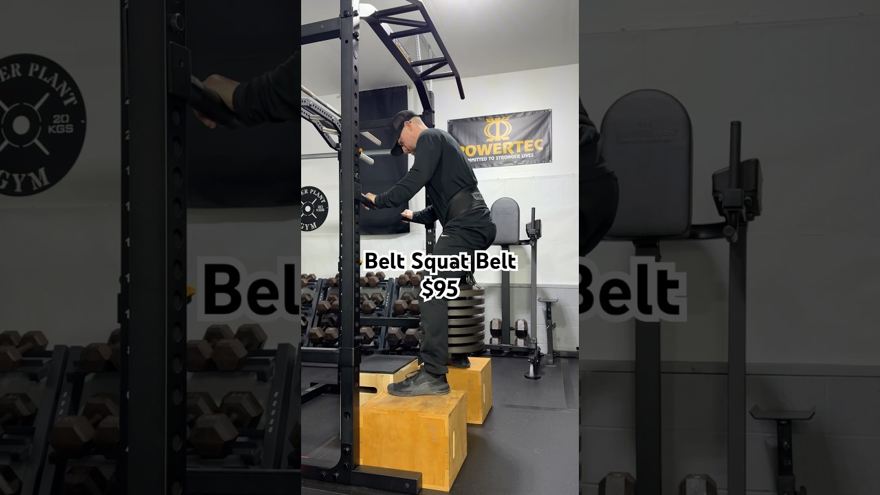 The Rogue Rhino vs The SquatMax MD vs A DIY Belt Squat