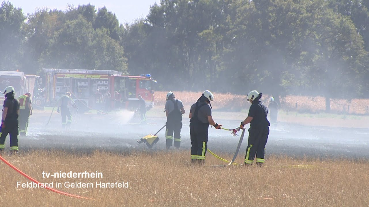 Feldbrand in Hartfeld - Einsatz für die Feuerwehr Geldern