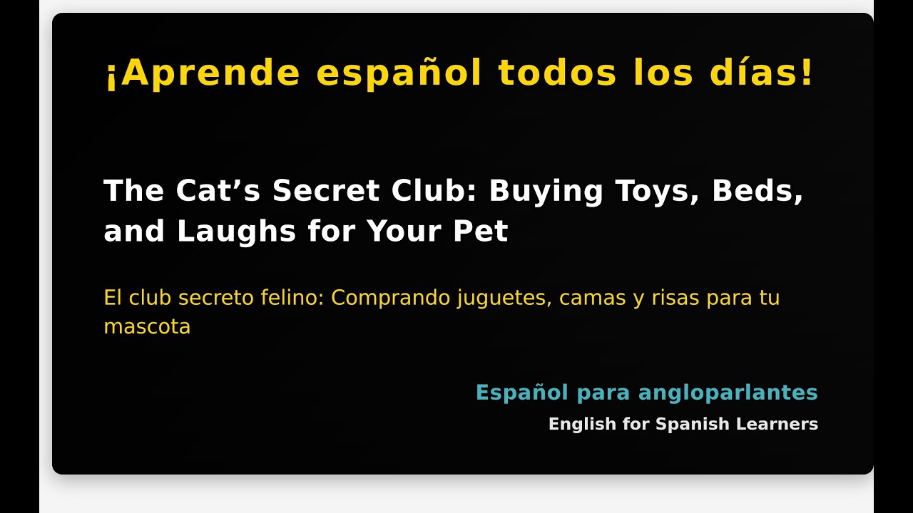 The Cat’s Secret Club: Buying Toys, Beds, and Laughs for Your Pet