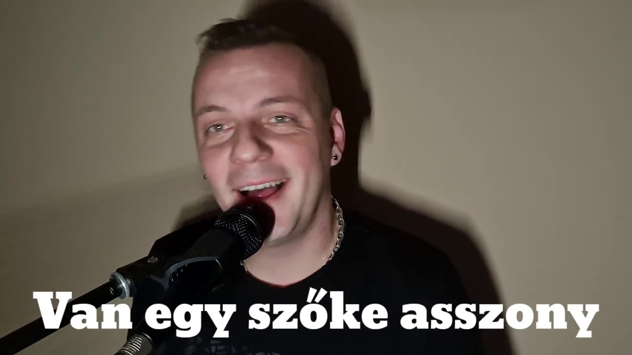 ♨️Boros Öcsi - Van egy szőke asszony ( Magyar nóta)
