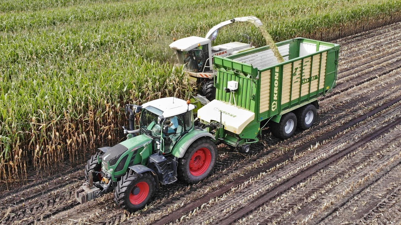 Mais Silage | Claas Jaguar 850 + Fendt | Edelhert | 2020