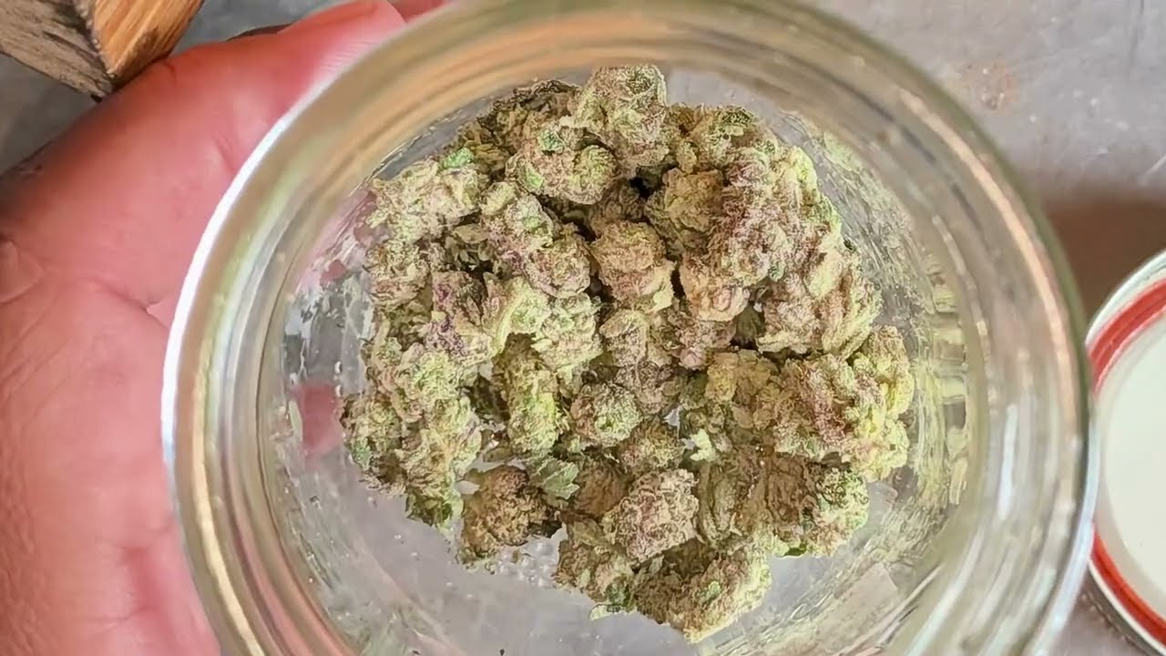 SHOPHELLOMARY LA Pop Rocks Flower thca review!! (2/2) Care pack review!! 