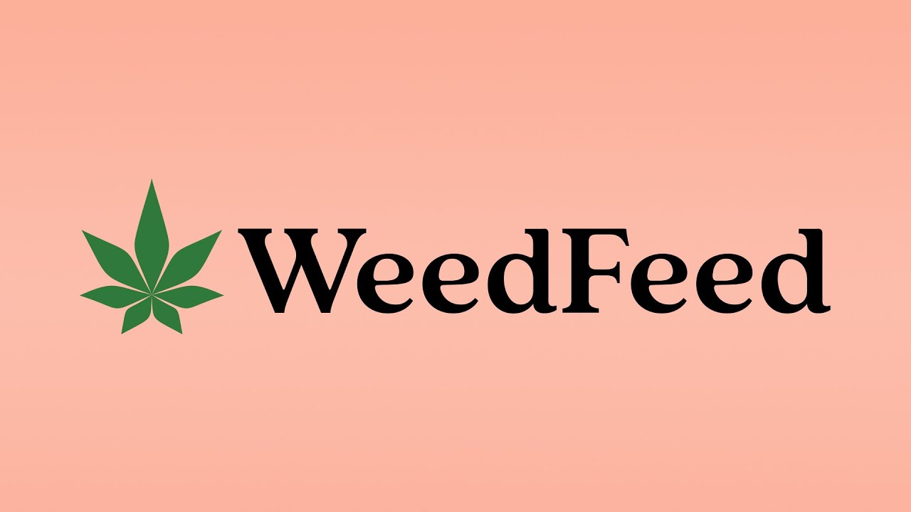 WHO IS WeedFeed? (2020 Channel Trailer)