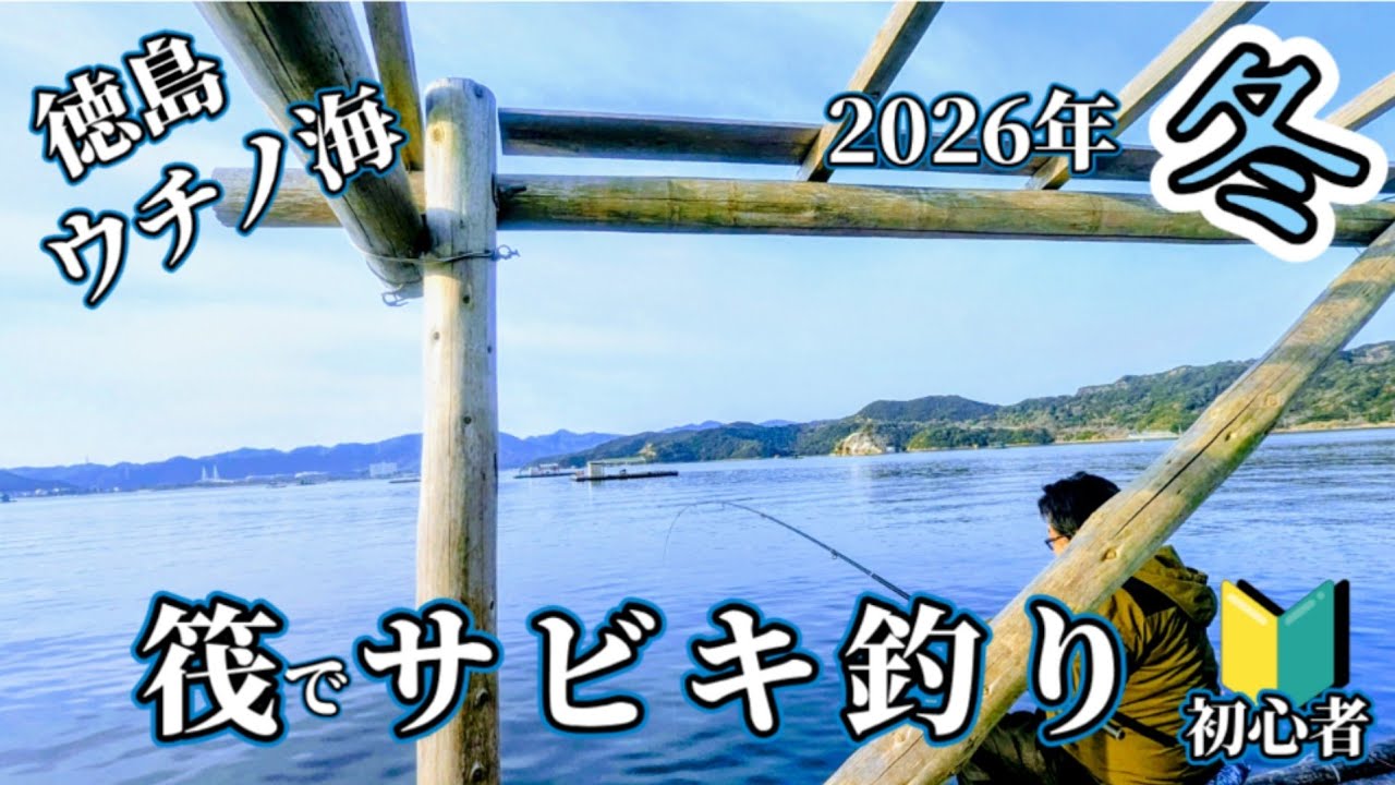 【筏でサビキ釣り】2026年の初めての釣りは徳島県ウチノ海井川海産さんで筏釣りを楽しみました