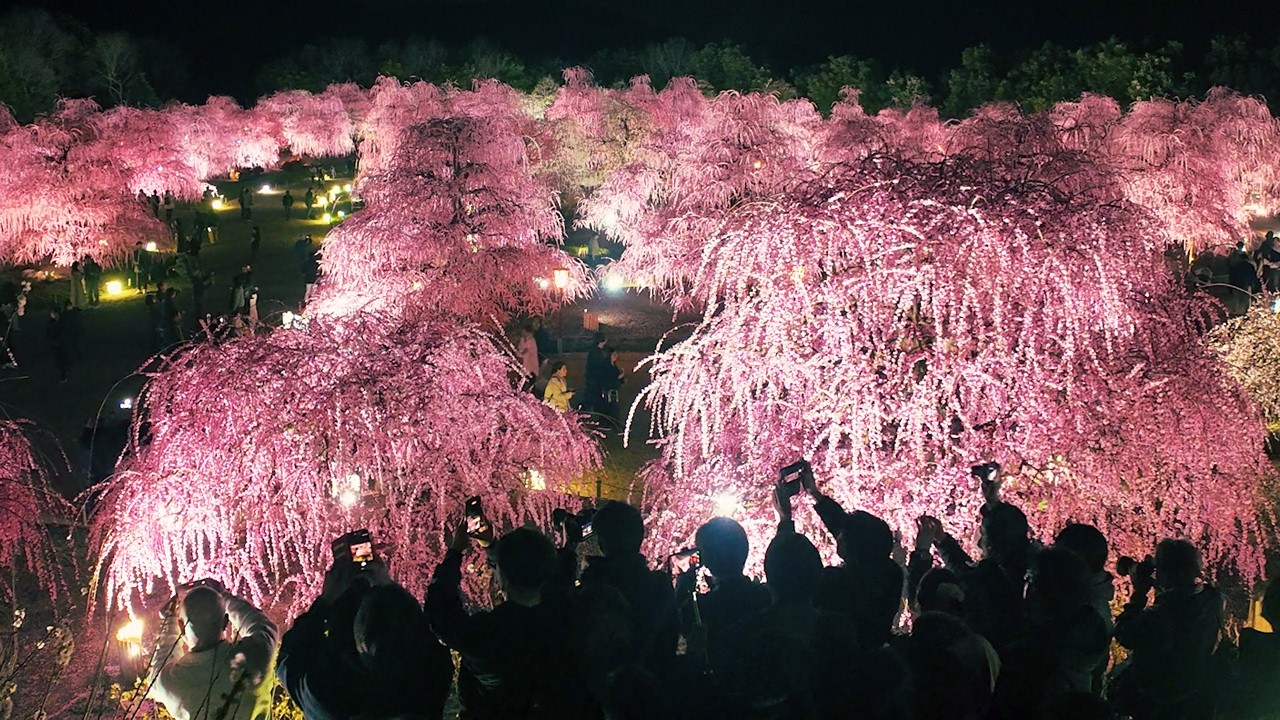 【4K】鈴鹿の森庭園　息を呑むほど美しい桃源郷