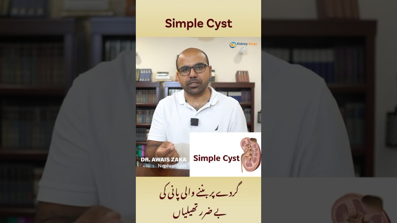What are simple kidney cysts?  #cysts #ckd #kidneydisease #renalfailure