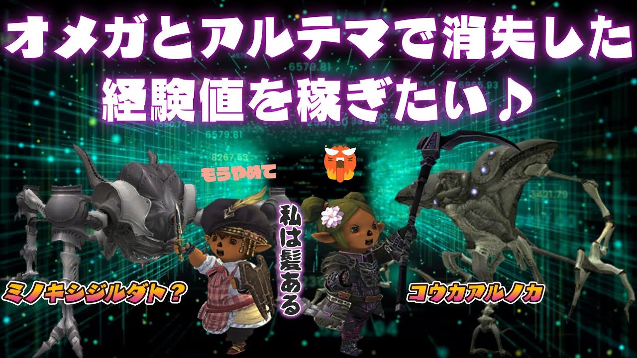 オメガとアルテマで消失した経験値を稼ぎたい❤ 今から始めても楽しめる面白いゲームはファイナルファンタジー１１  (FF11)ビスマルクサーバー